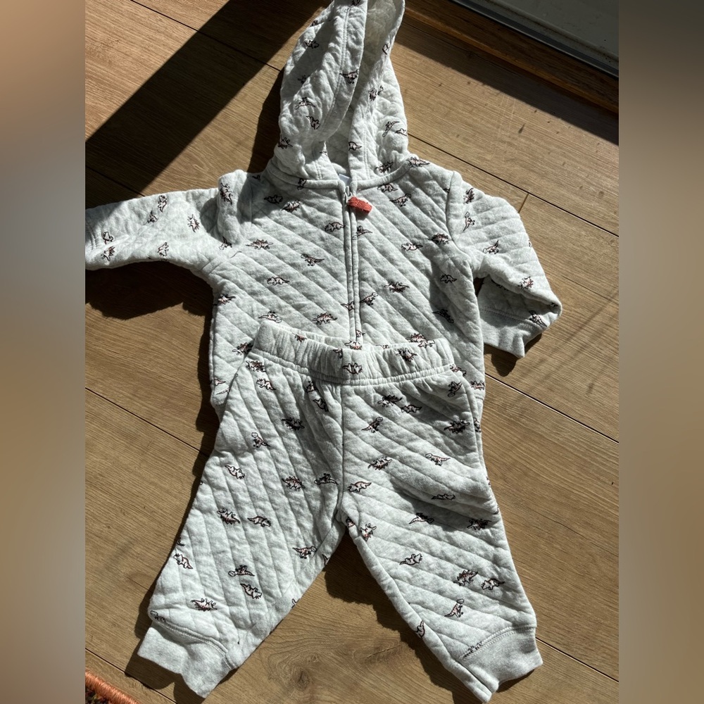 Quilted Dinosaur outfit